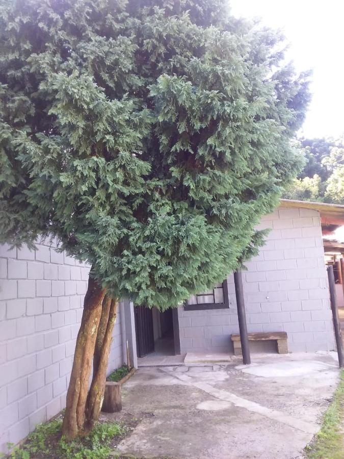 Villa Kitnet Recanto De Campos-Pertinho Do Centro Campos do Jordão Exterior foto