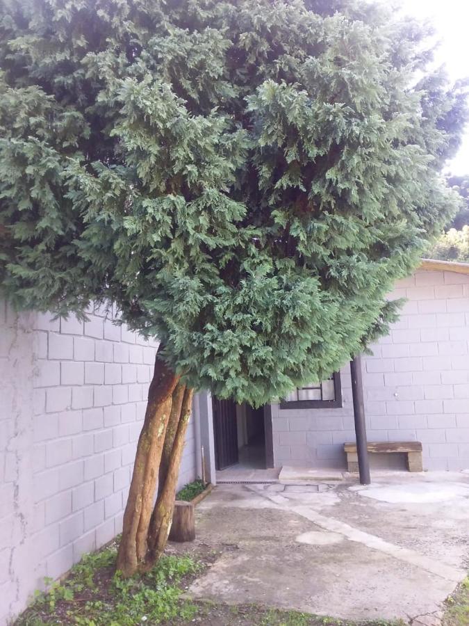 Villa Kitnet Recanto De Campos-Pertinho Do Centro Campos do Jordão Exterior foto